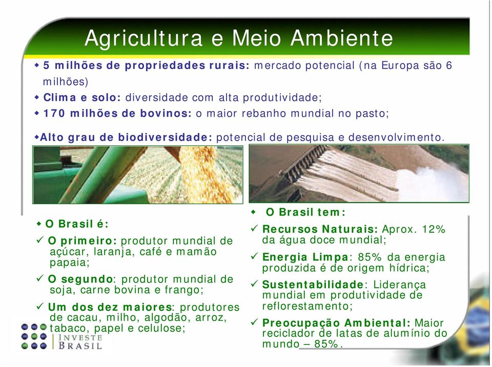 O Brasil é: O primeiro: produtor mundial de açúcar, laranja, café e mamão papaia; O segundo: produtor mundial de soja, carne bovina e frango; Um dos dez maiores: produtores de cacau, milho,