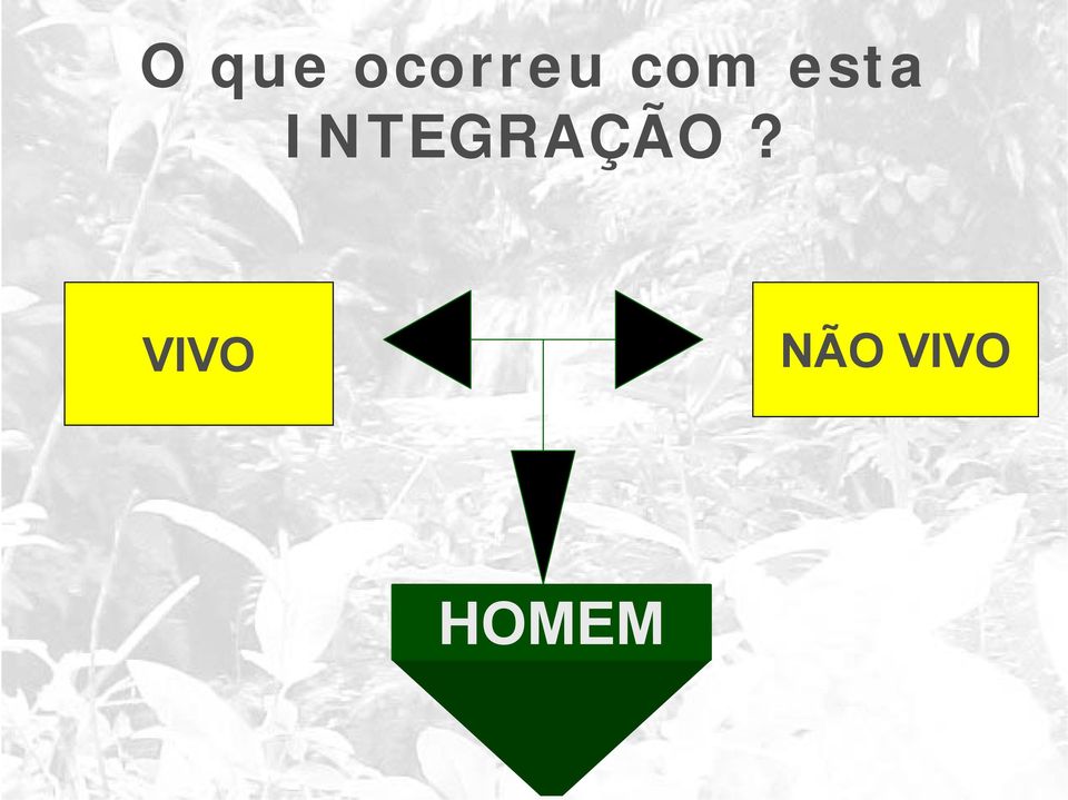 INTEGRAÇÃO?