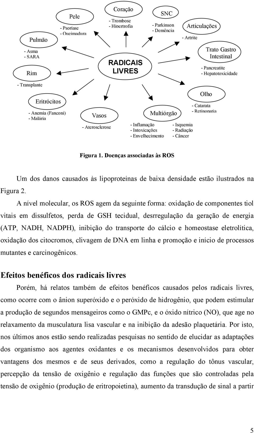 Retinopatia Figura 1. Doenças associadas às ROS Um dos danos causados às lipoproteínas de baixa densidade estão ilustrados na Figura 2.