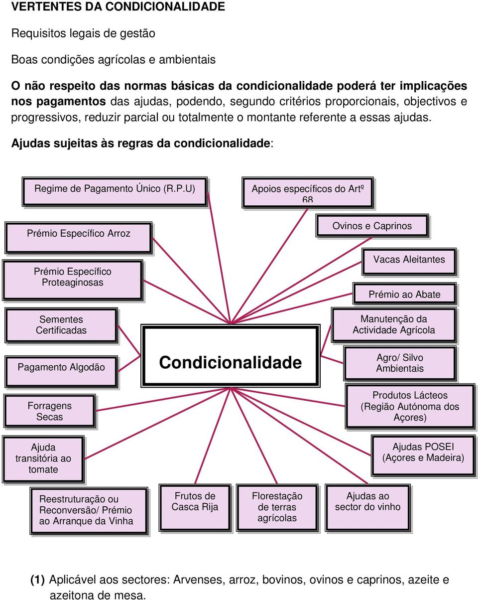 Ajudas sujeitas às regras da condicionalidade: Regime de Pa