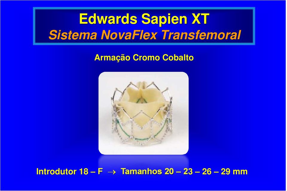 Armação Cromo Cobalto