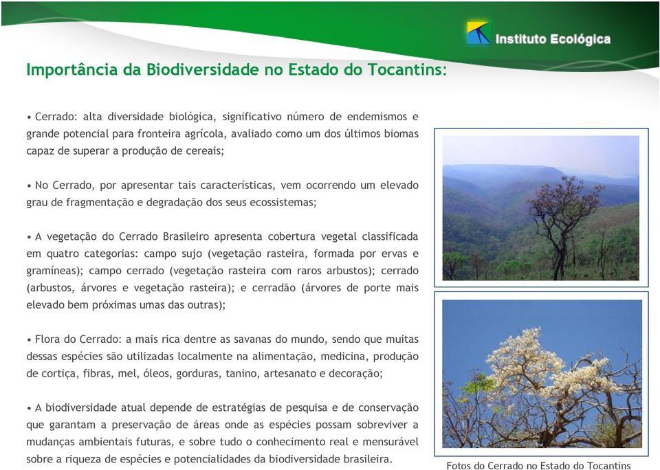 Cerrado Brasileiro apresenta cobertura vegetal classificada em quatro categorias: campo sujo (vegetação rasteira, formada por ervas e gramíneas); campo cerrado (vegetação rasteira com raros