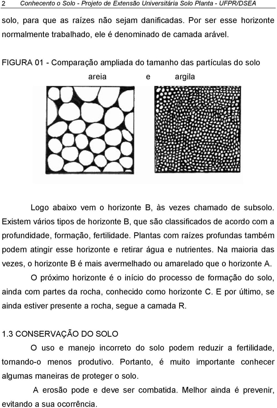 FIGURA 01 - Comparação ampliada do tamanho das partículas do solo areia e argila Logo abaixo vem o horizonte B, às vezes chamado de subsolo.