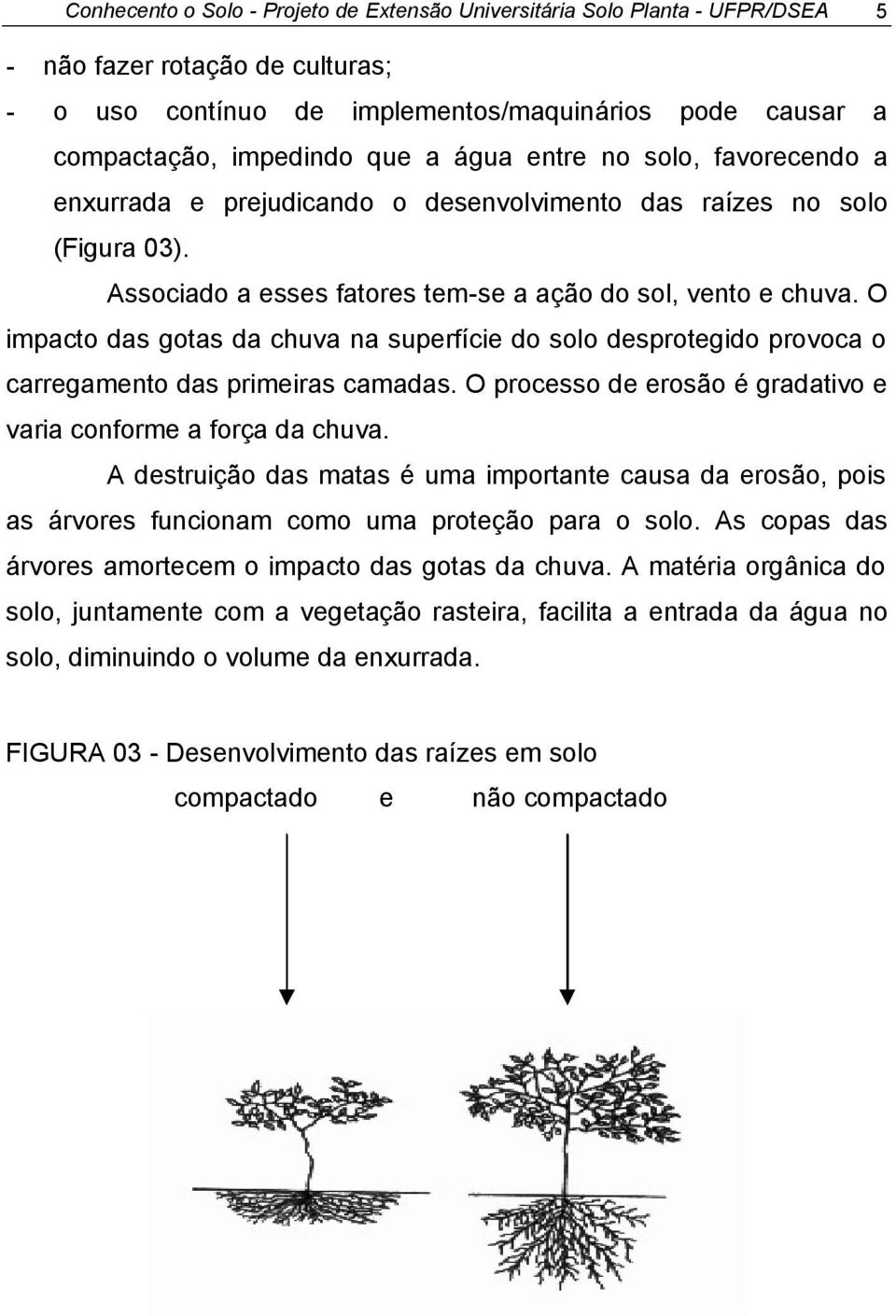 O impacto das gotas da chuva na superfície do solo desprotegido provoca o carregamento das primeiras camadas. O processo de erosão é gradativo e varia conforme a força da chuva.