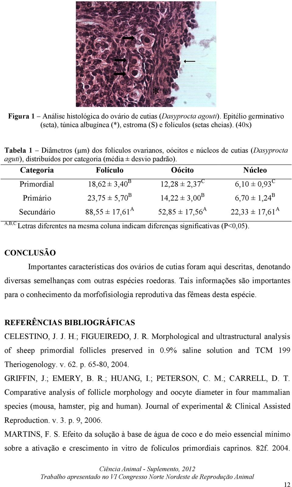 Categoria Folículo Oócito Núcleo Primordial 18,62 ± 3,40 B 12,28 ± 2,37 C 6,10 ± 0,93 C Primário 23,75 ± 5,70 B 14,22 ± 3,00 B 6,70 ± 1,24 B Secundário 88,55 ± 17,61 A 52,85 ± 17,56 A 22,33 ± 17,61 A