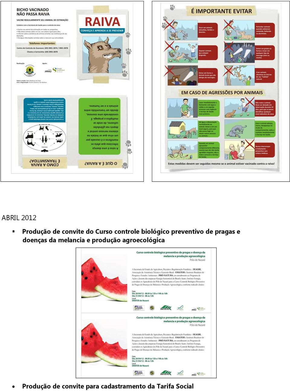 doenças da melancia e produção agroecológica