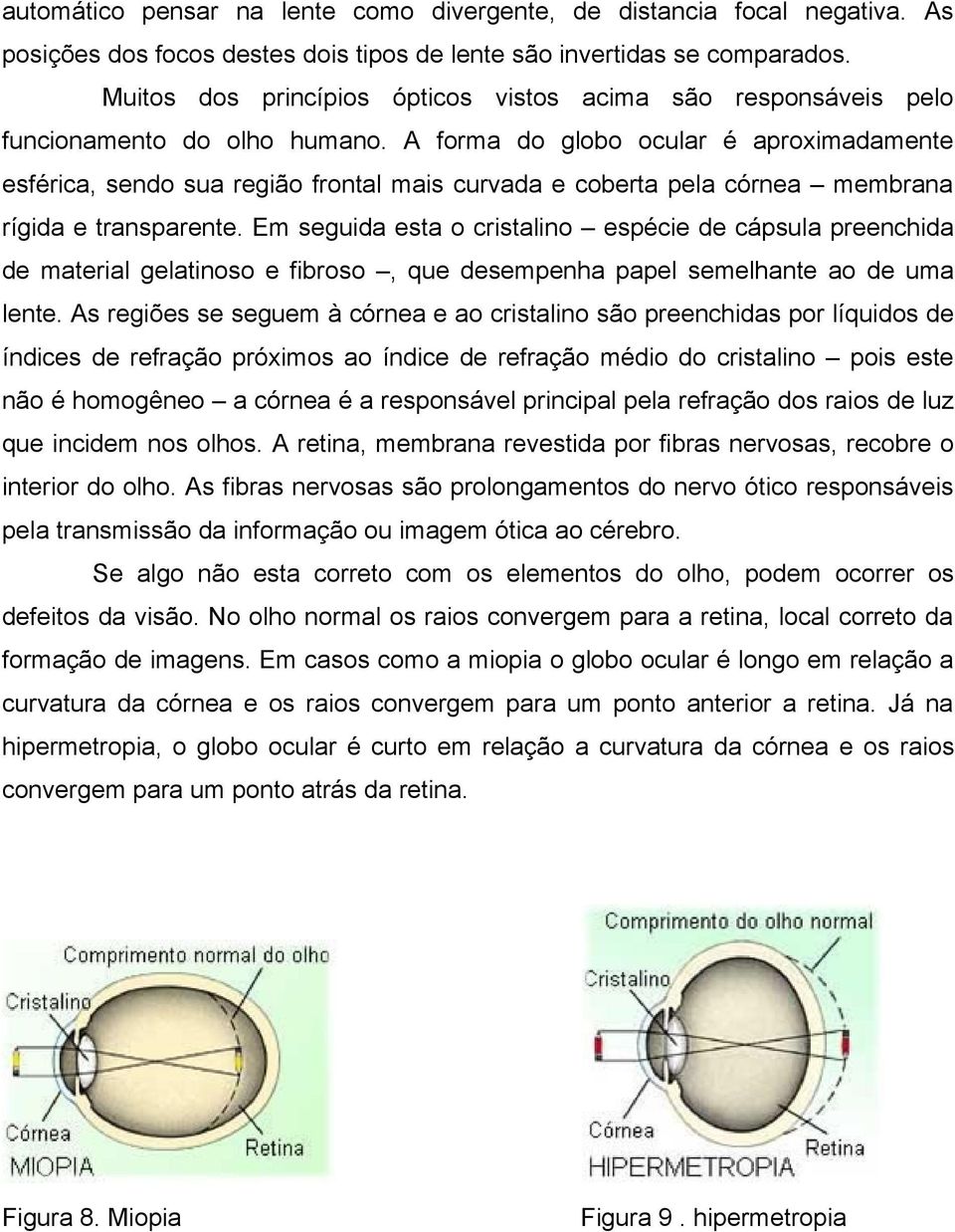 A forma do globo ocular é aproximadamente esférica, sendo sua região frontal mais curvada e coberta pela córnea membrana rígida e transparente.