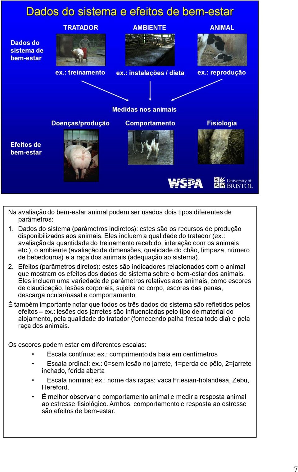 ), o ambiente (avaliação de dimensões, qualidade do chão, limpeza, número de bebedouros) e a raça dos animais (adequação ao sistema). 2.