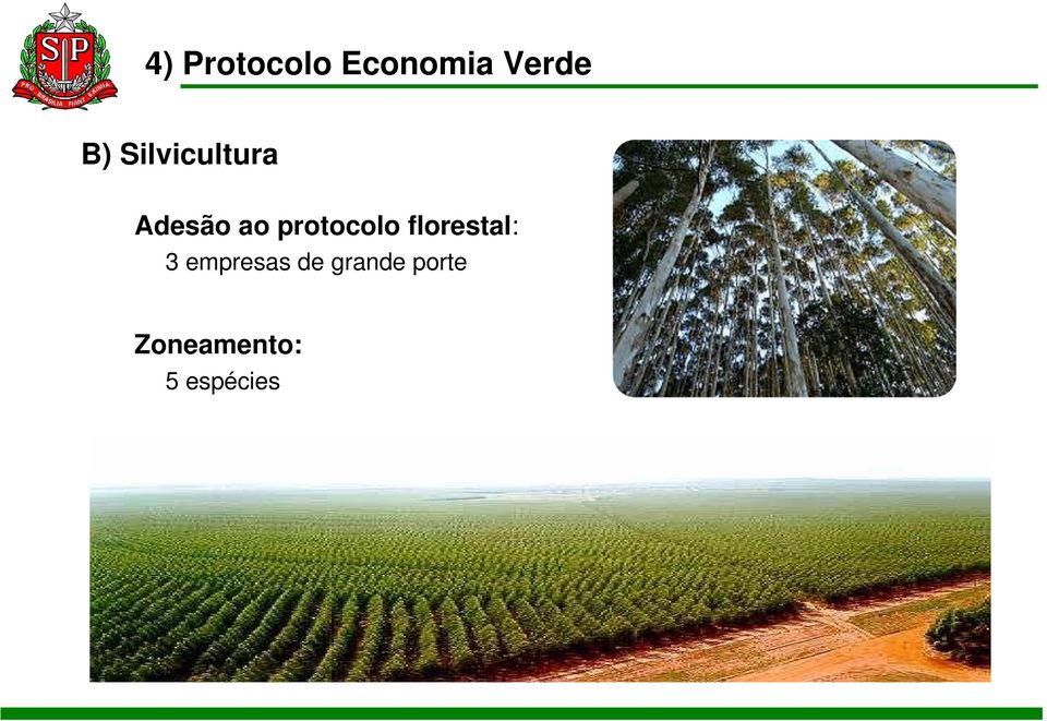 protocolo florestal: 3