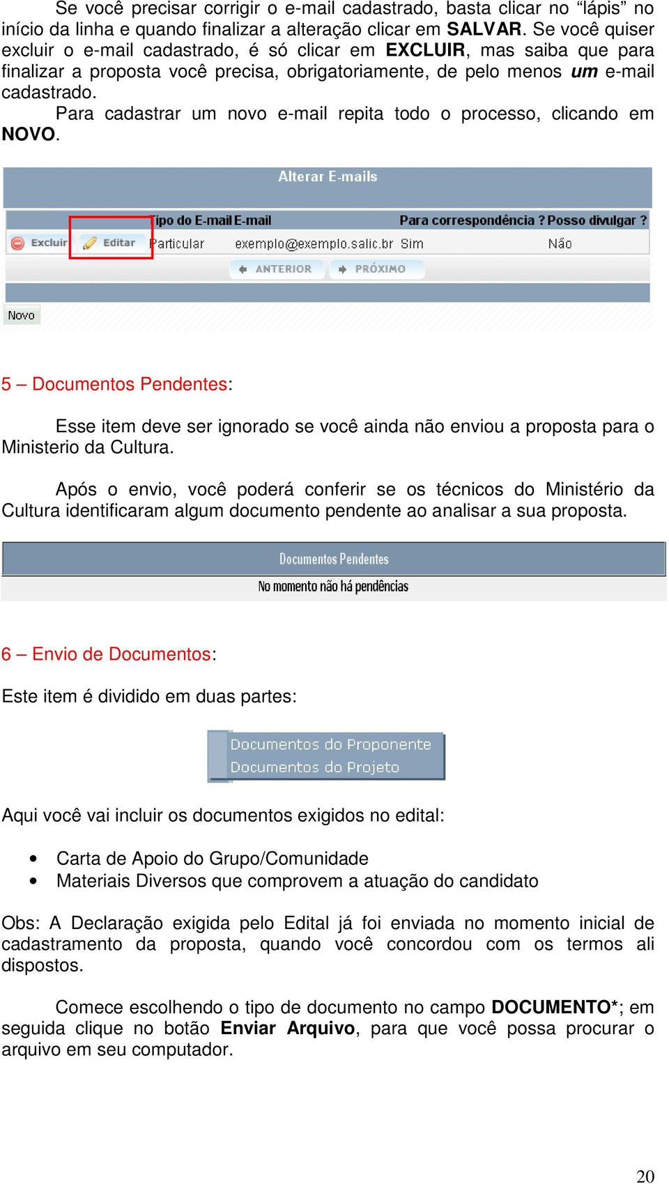 Para cadastrar um novo e-mail repita todo o processo, clicando em NOVO. 5 Documentos Pendentes: Esse item deve ser ignorado se você ainda não enviou a proposta para o Ministerio da Cultura.