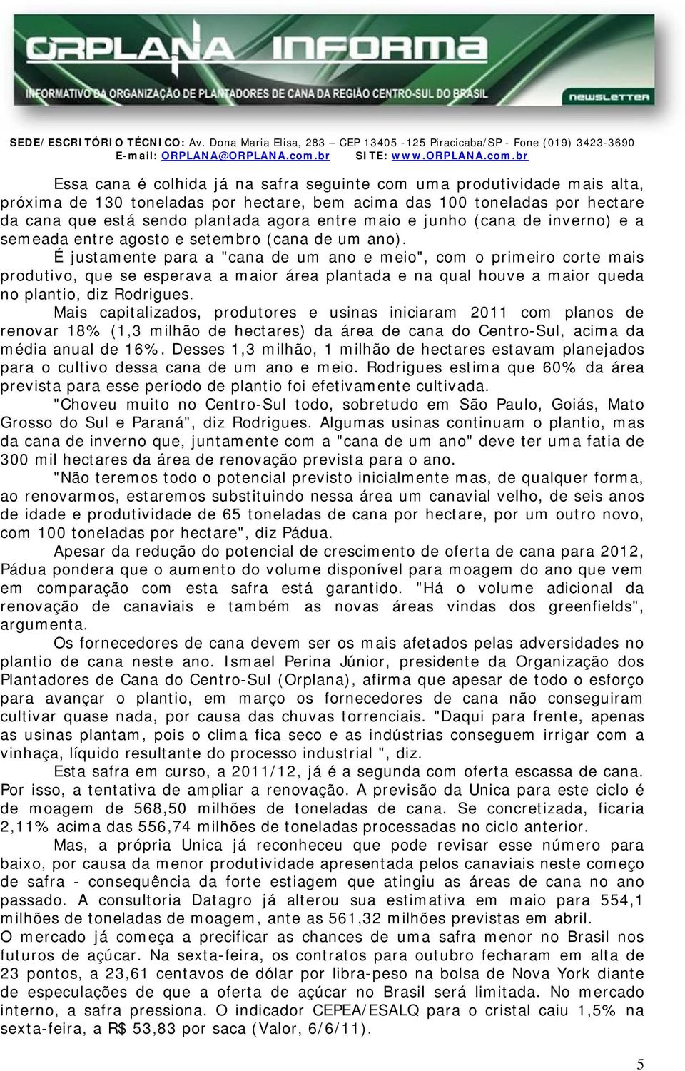 É justamente para a "cana de um ano e meio", com o primeiro corte mais produtivo, que se esperava a maior área plantada e na qual houve a maior queda no plantio, diz Rodrigues.