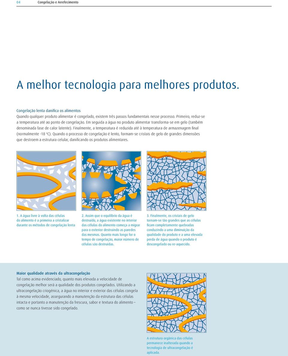 Em seguida a água no produto alimentar transforma-se em gelo (também denominada fase de calor latente).