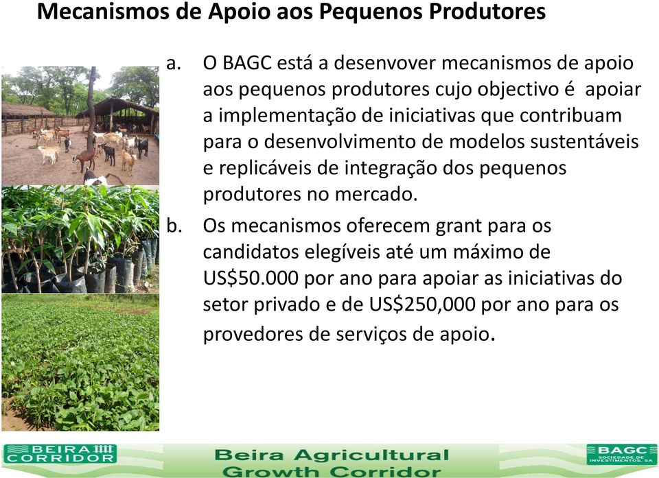que contribuam para o desenvolvimento de modelos sustentáveis e replicáveis de integração dos pequenos produtores no mercado.