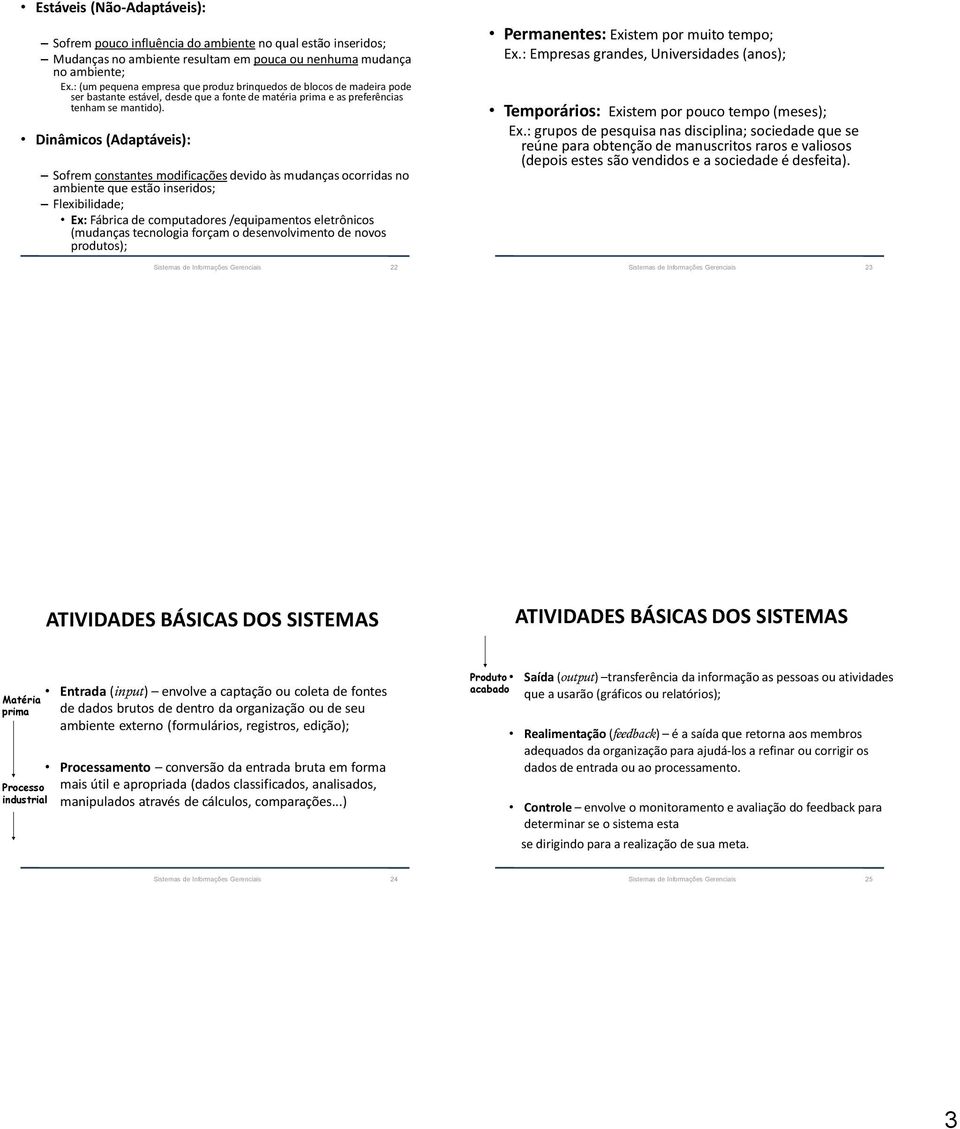 Dinâmicos (Adaptáveis): Sofrem constantes modificações devido às mudanças ocorridas no ambiente que estão inseridos; Flexibilidade; Ex: Fábrica de computadores /equipamentos eletrônicos (mudanças