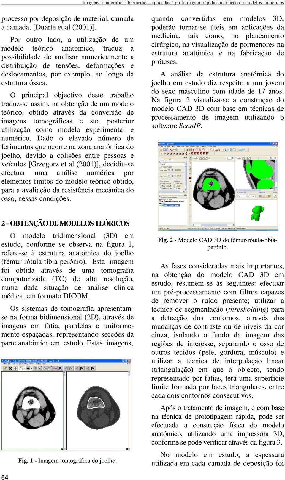 estrutura óssea.