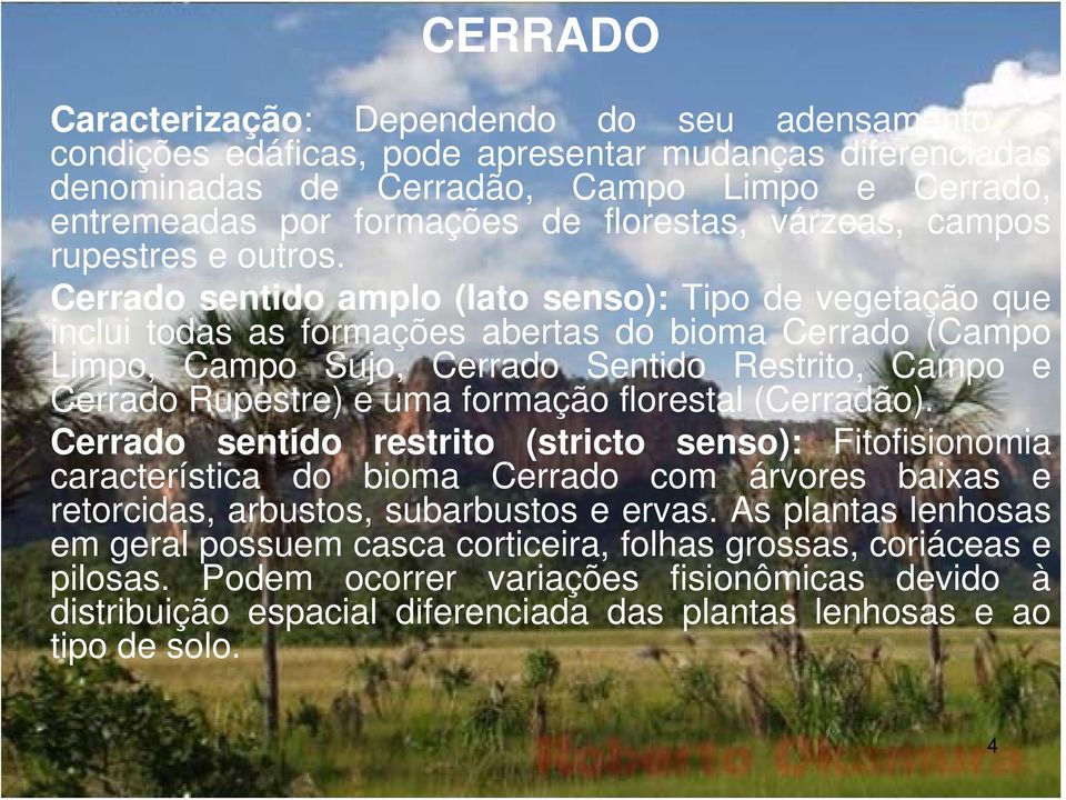 Cerrado sentido amplo (lato senso): Tipo de vegetação que inclui todas as formações abertas do bioma Cerrado (Campo Limpo, Campo Sujo, Cerrado Sentido Restrito, Campo e Cerrado Rupestre) e uma