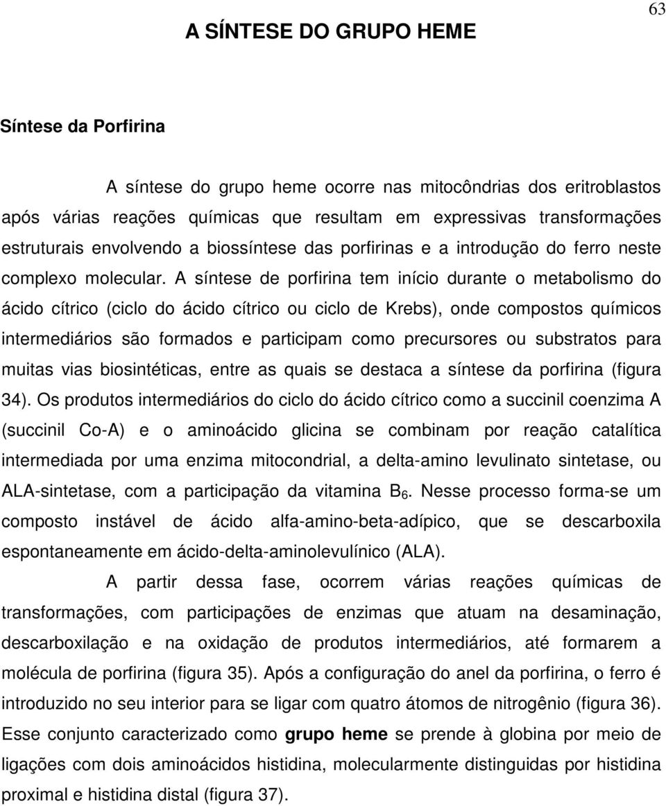 A síntese de porfirina tem início durante o metabolismo do ácido cítrico (ciclo do ácido cítrico ou ciclo de Krebs), onde compostos químicos intermediários são formados e participam como precursores