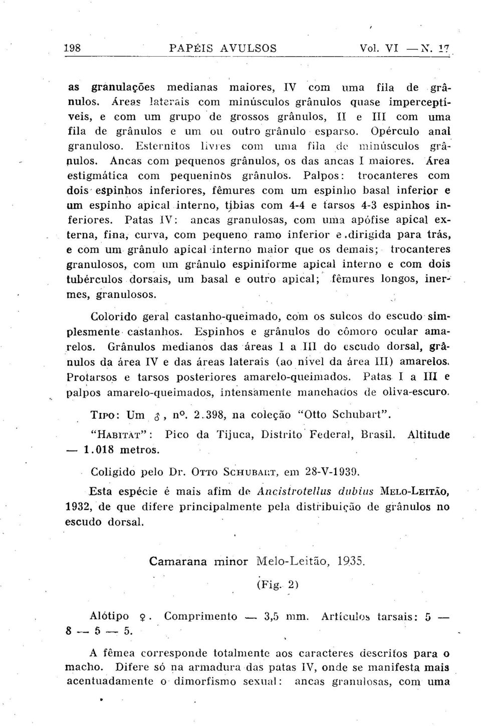 Esterilitos l~\~ies coiii iiriia fila ri(% i:~in~isculos grâpulos. Ancas com pequenos grânulos, os das ancas I i~iaiores. Area estigmatica com pequeilinbs grânulos.