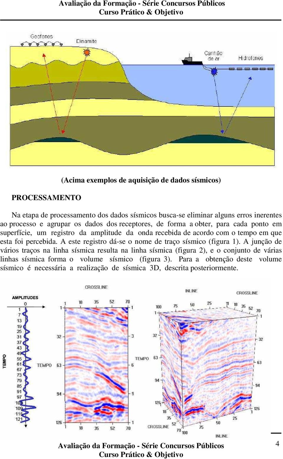 percebida. A este registro dá-se o nome de traço sísmico (figura 1).