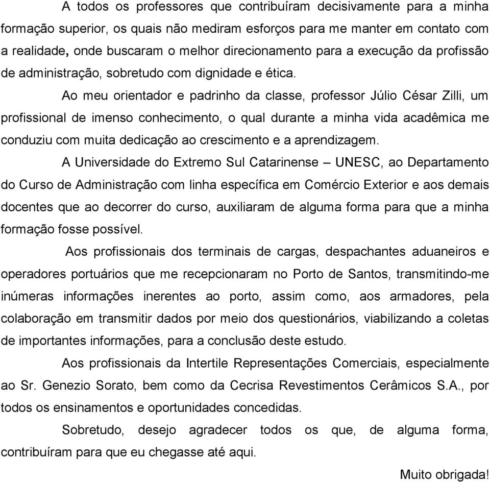 Ao meu orientador e padrinho da classe, professor Júlio César Zilli, um profissional de imenso conhecimento, o qual durante a minha vida acadêmica me conduziu com muita dedicação ao crescimento e a