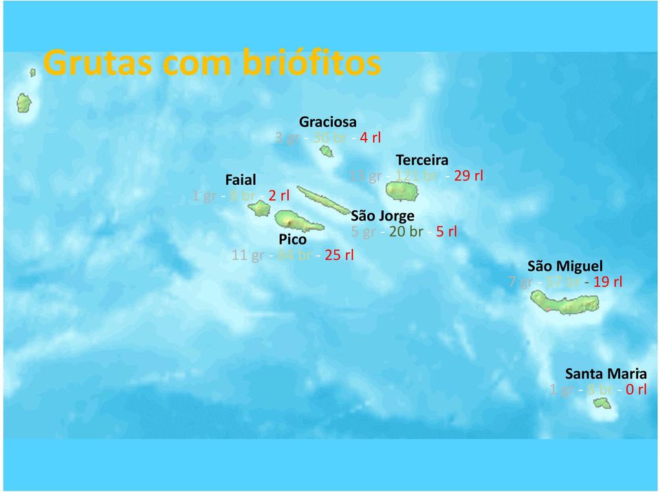 Terceira 13 gr 121 br 29 rl São Jorge 5 gr 20 br