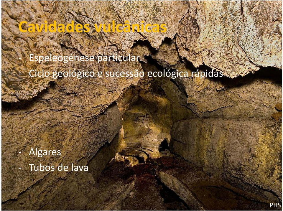 Ciclo geológico e sucessão