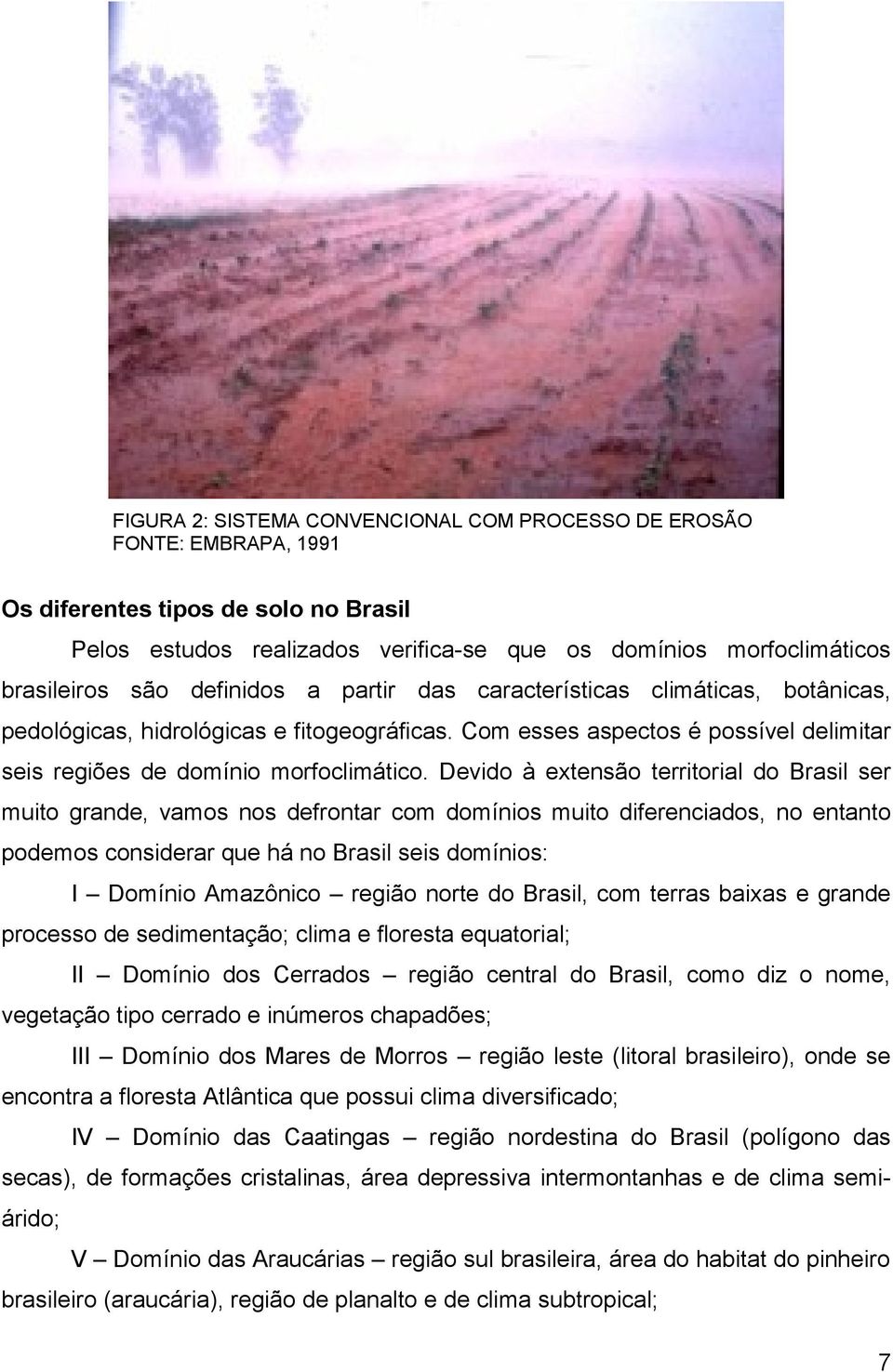 Devido à extensão territorial do Brasil ser muito grande, vamos nos defrontar com domínios muito diferenciados, no entanto podemos considerar que há no Brasil seis domínios: I Domínio Amazônico