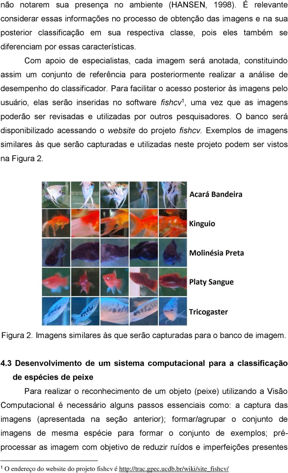 Com apoio de especialistas, cada imagem será anotada, constituindo assim um conjunto de referência para posteriormente realizar a análise de desempenho do classificador.