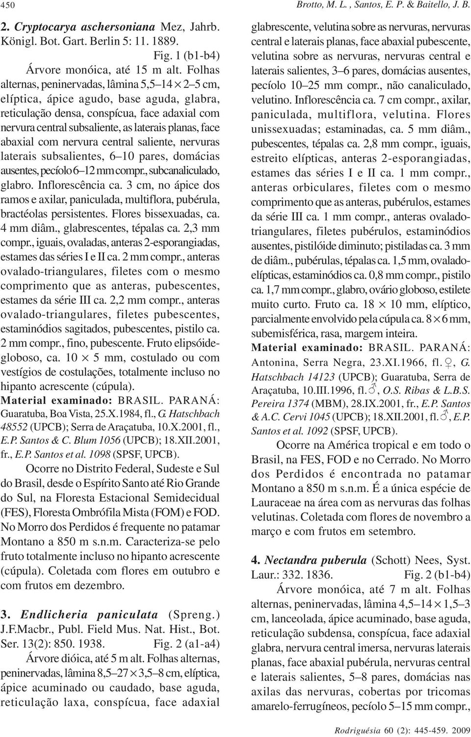 abaxial com nervura central saliente, nervuras laterais subsalientes, 6 10 pares, domácias ausentes, pecíolo 6 12 mm compr., subcanaliculado, glabro. Inflorescência ca.