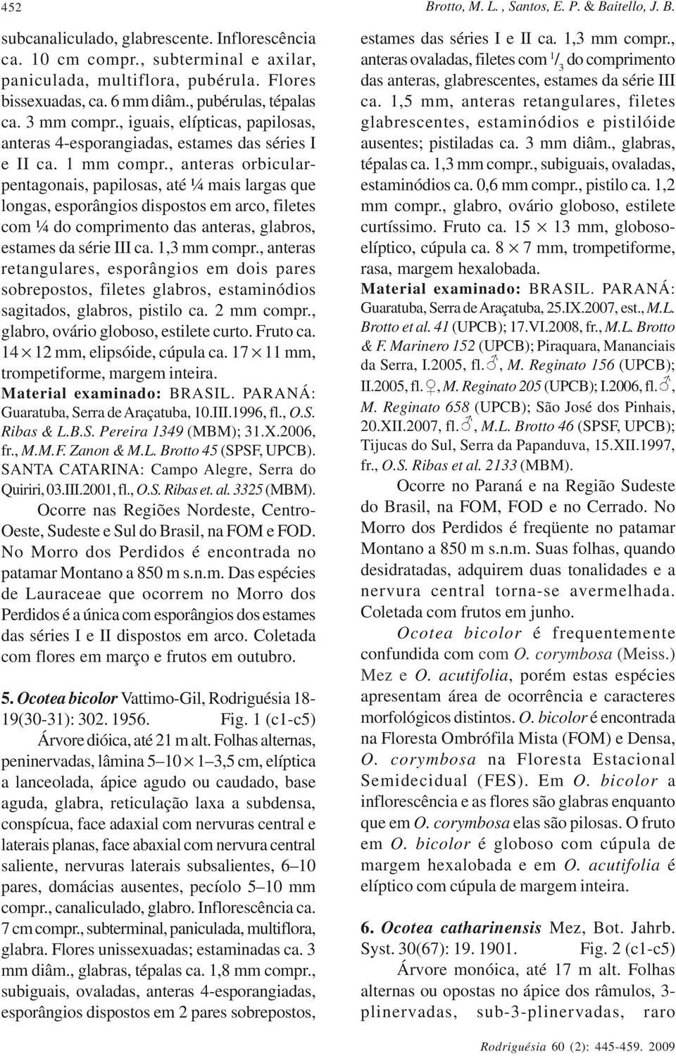 , iguais, elípticas, papilosas, anteras 4-esporangiadas, estames das séries I e II ca. compr.