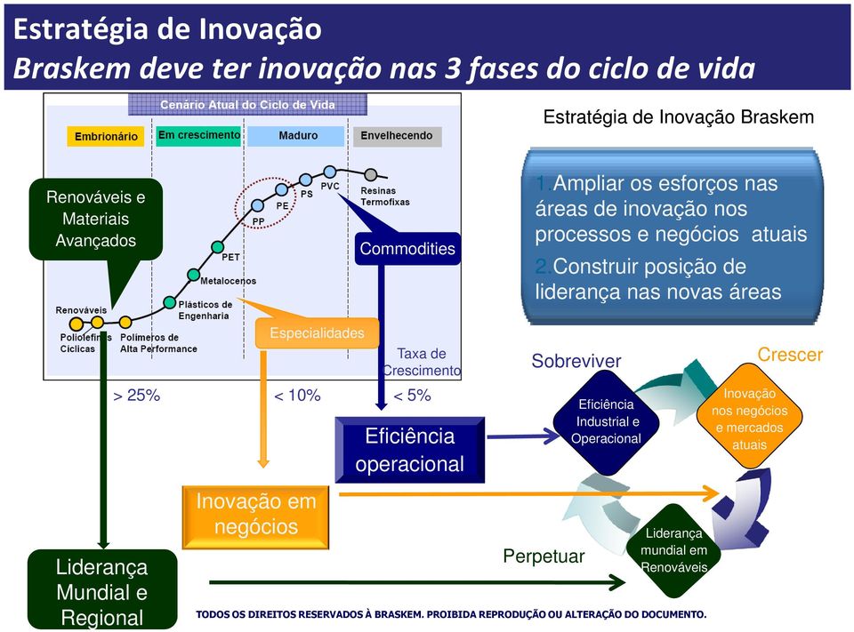 Construir posição de liderança nas novas áreas Liderança Mundial e Regional Inovação em negócios Especialidades > 25% < 10% Taxa de