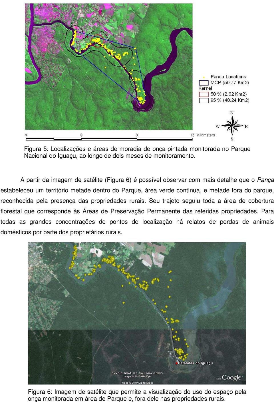 pela presença das propriedades rurais. Seu trajeto seguiu toda a área de cobertura florestal que corresponde às Áreas de Preservação Permanente das referidas propriedades.