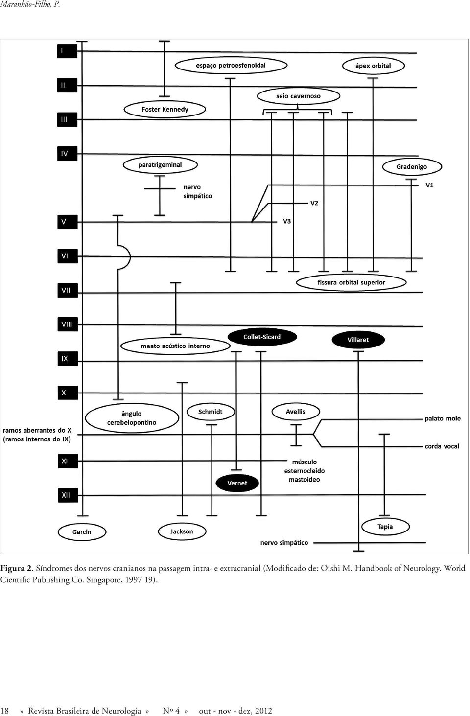 (Modificado de: Oishi M. Handbook of Neurology.