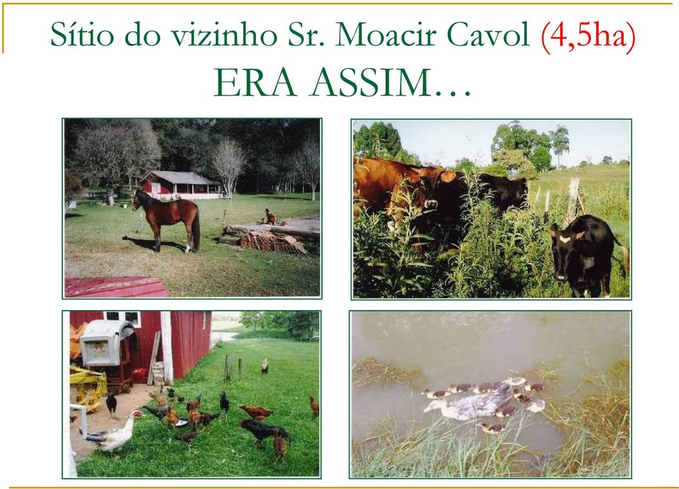 Moacir Cavol