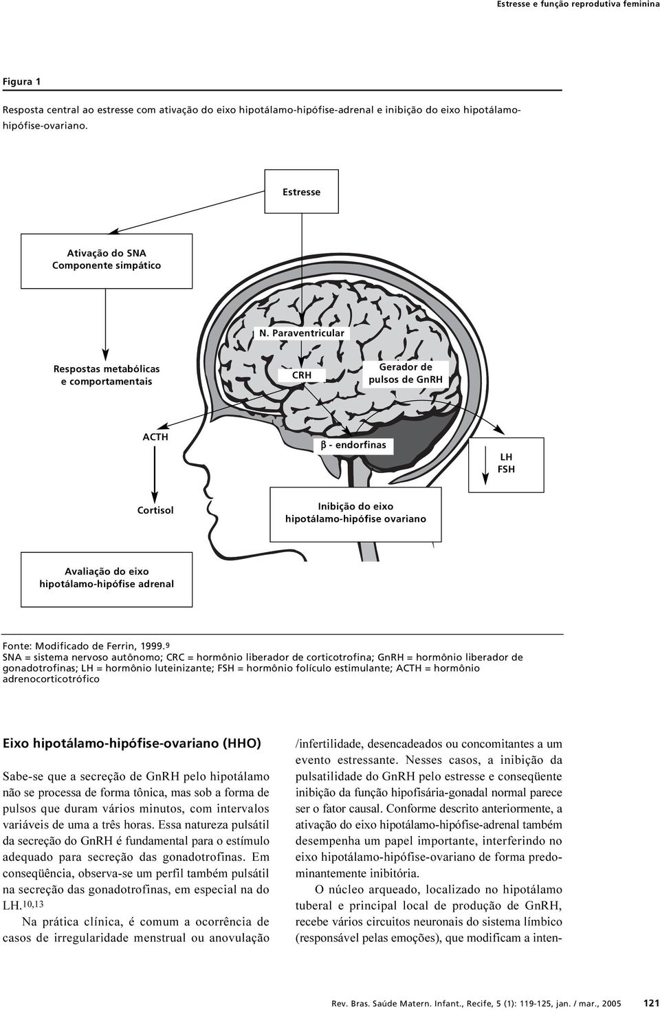 Paraventricular Respostas metabólicas e comportamentais CRH Gerador de pulsos de GnRH ACTH β - endorfinas LH FSH Cortisol Inibição do eixo hipotálamo-hipófise ovariano Avaliação do eixo