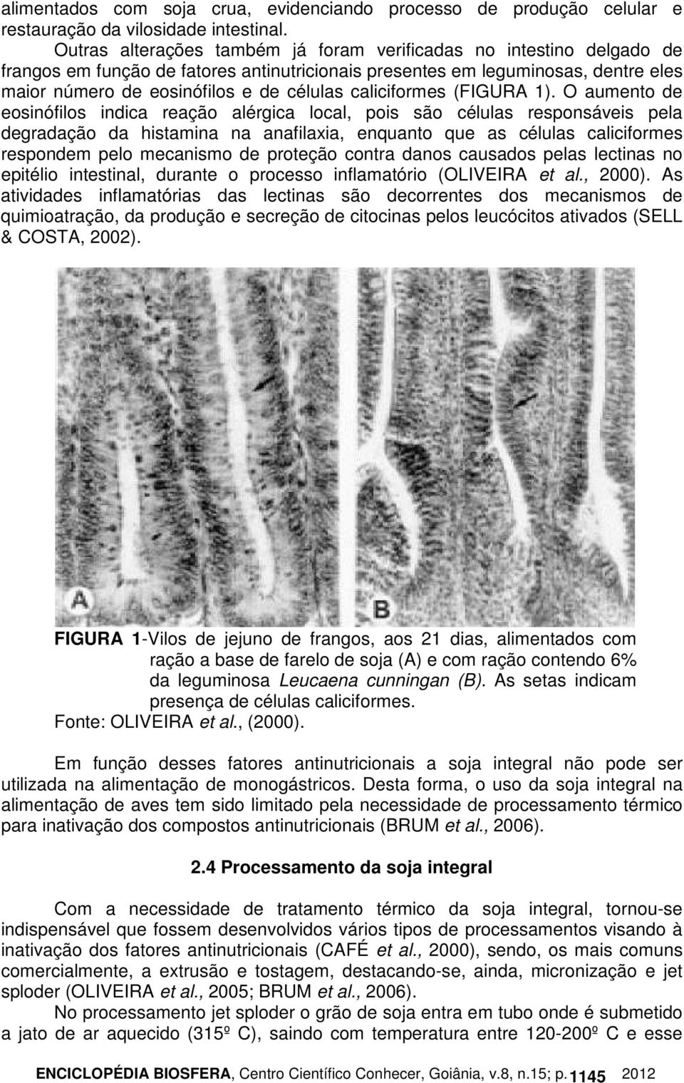 caliciformes (FIGURA 1).