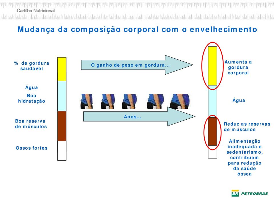 .. Aumenta a gordura corporal Água Boa hidratação Água Boa reserva de