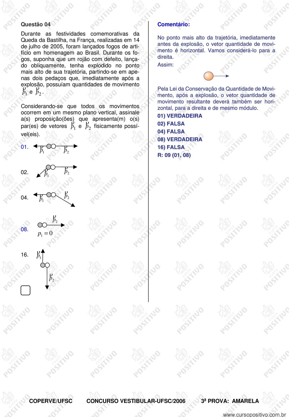 imediatamente após a explosão, possuíam quantidades de movimento p ρ e p ρ.