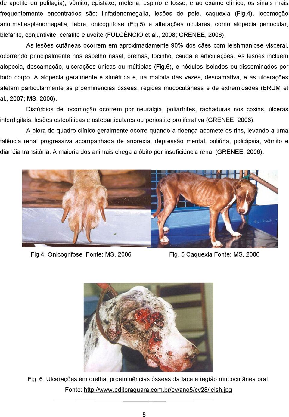 As lesões cutâneas ocorrem em aproximadamente 90% dos cães com leishmaniose visceral, ocorrendo principalmente nos espelho nasal, orelhas, focinho, cauda e articulações.