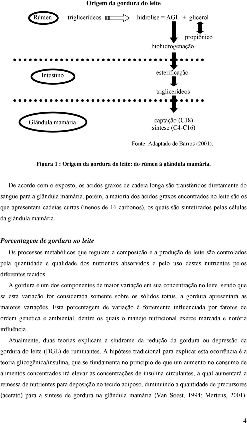 De acordo com o exposto, os ácidos graxos de cadeia longa são transferidos diretamente do sangue para a glândula mamária, porém, a maioria dos ácidos graxos encontrados no leite são os que apresentam