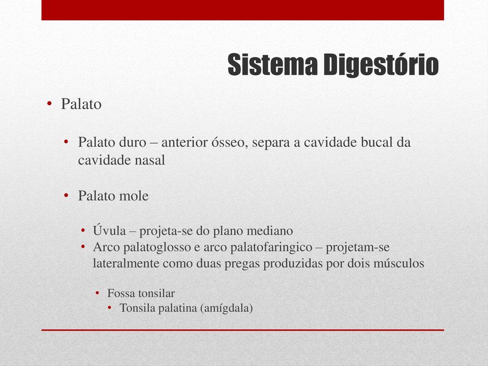 palatoglosso e arco palatofaringico projetam-se lateralmente como