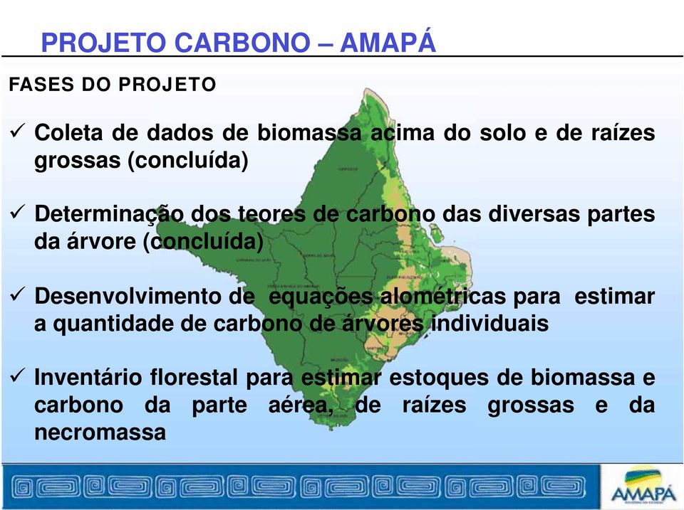 Desenvolvimento de equações alométricas para estimar a quantidade de carbono de árvores individuais