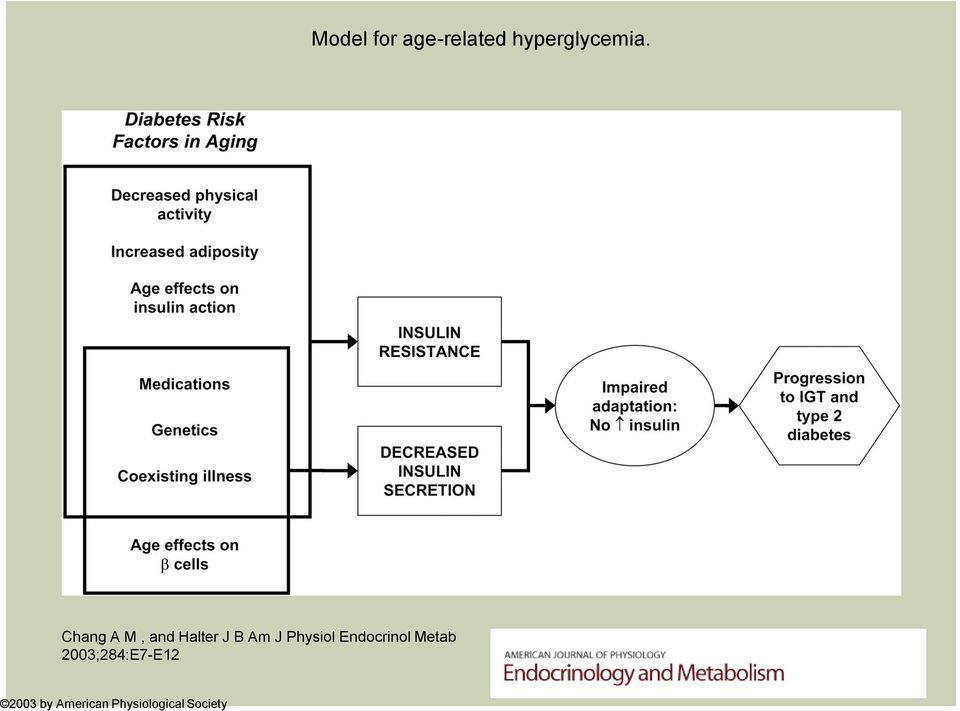 Physiol Endocrinol Metab