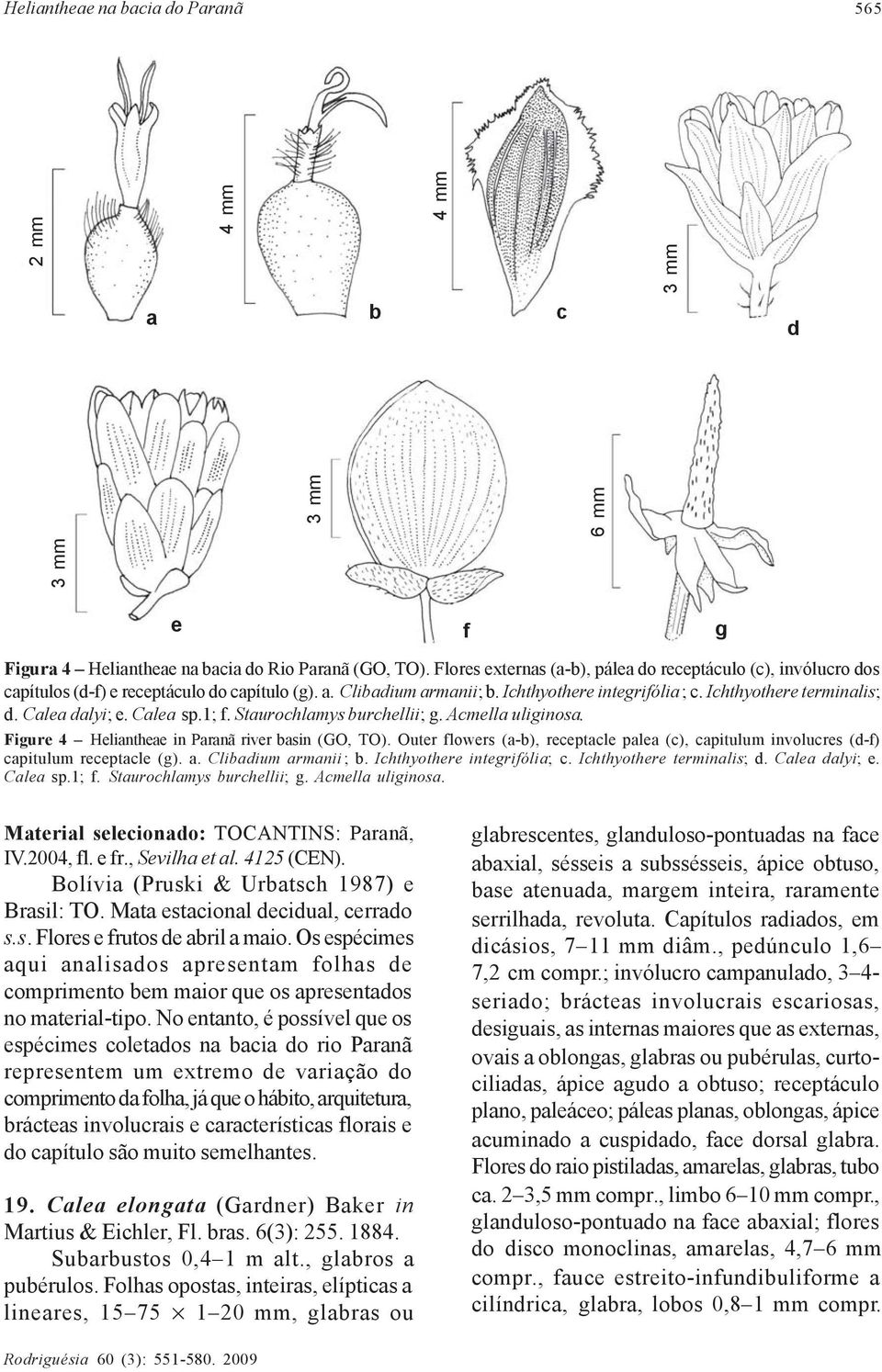 Calea dalyi; e. Calea sp.1; f. Staurochlamys burchellii; g. Acmella uliginosa. Figure 4 Heliantheae in Paranã river basin (GO, TO).