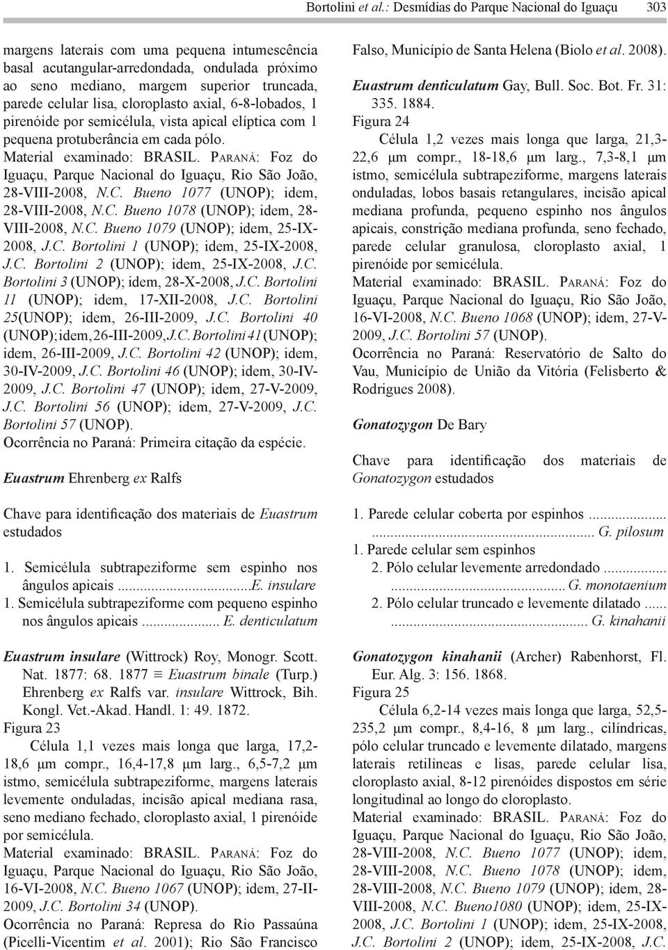 lisa, cloroplasto axial, 6-8-lobados, 1 pirenóide por semicélula, vista apical elíptica com 1 pequena protuberância em cada pólo. 28-VIII-2008, N.C. Bueno 1077 (UNOP); idem, 28-VIII-2008, N.C. Bueno 1078 (UNOP); idem, 28- VIII-2008, N.