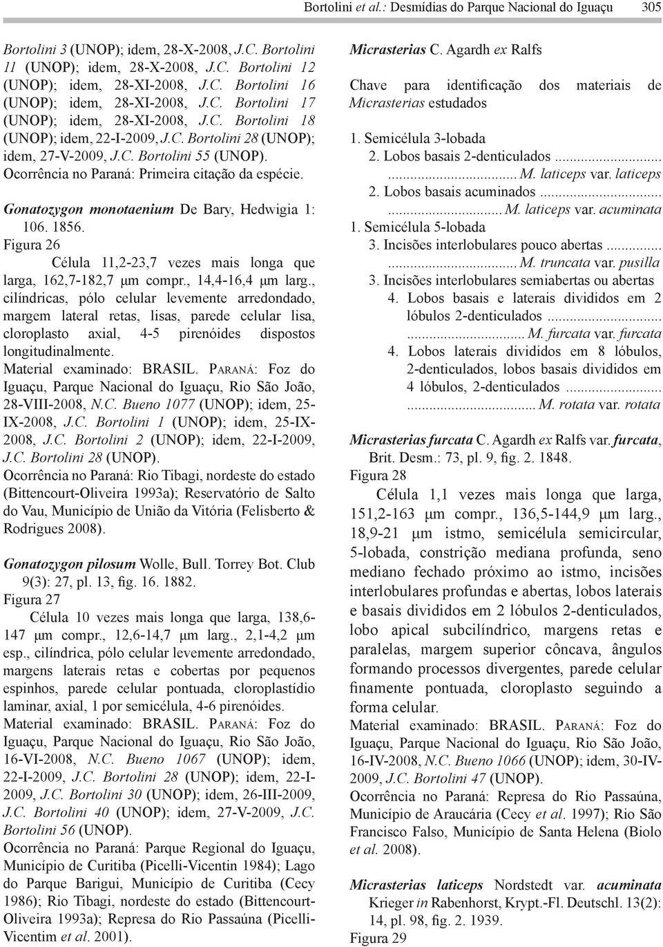 Ocorrência no Paraná: Primeira citação da espécie. Gonatozygon monotaenium De Bary, Hedwigia 1: 106. 1856. Figura 26 Célula 11,2-23,7 vezes mais longa que larga, 162,7-182,7 μm compr.