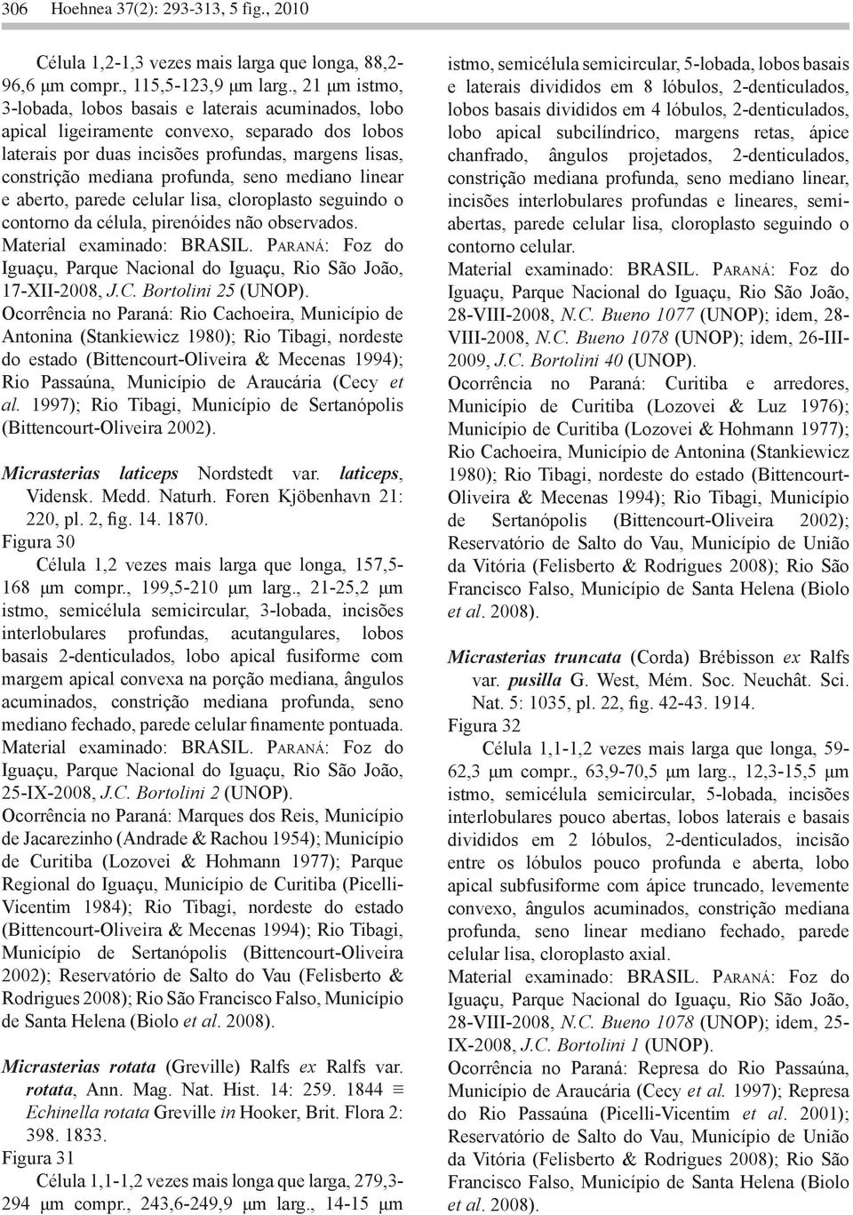 seno mediano linear e aberto, parede celular lisa, cloroplasto seguindo o contorno da célula, pirenóides não observados. 17-XII-2008, J.C. Bortolini 25 (UNOP).