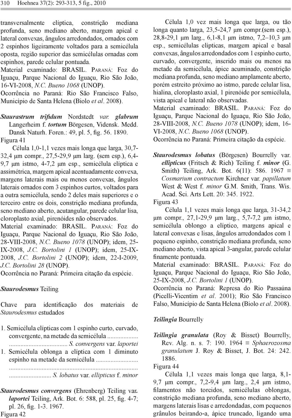 semicélula oposta, região superior das semicélulas ornadas com espinhos, parede celular pontuada. 16-VI-2008, N.C. Bueno 1068 (UNOP).