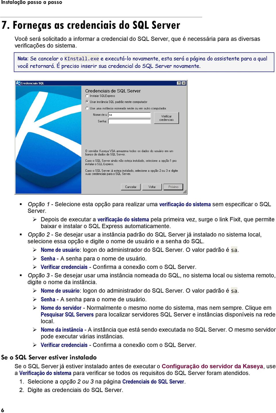 Opção 1 - Selecione esta opção para realizar uma verificação do sistema sem especificar o SQL Server.