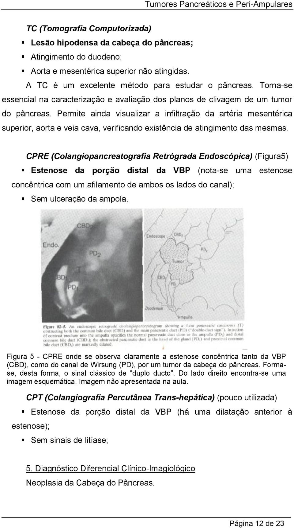 Permite ainda visualizar a infiltração da artéria mesentérica superior, aorta e veia cava, verificando existência de atingimento das mesmas.